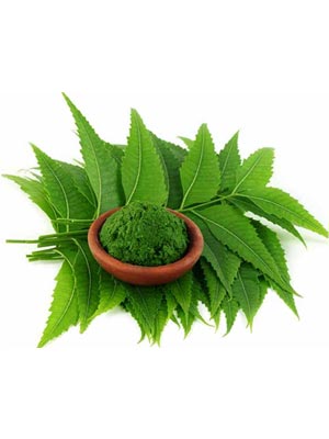 নিম পাতা